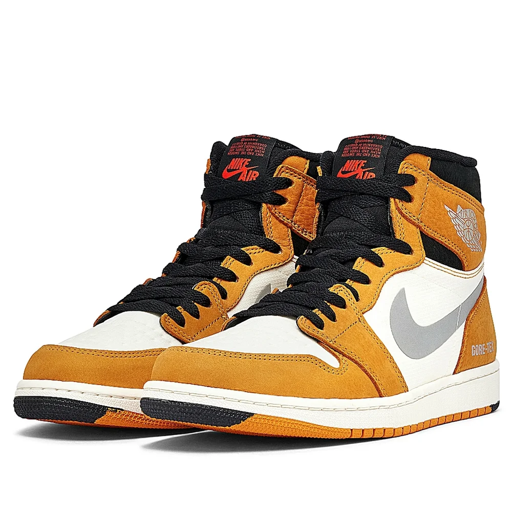 NIB Air Jordan 1 Element Gore-Tex 